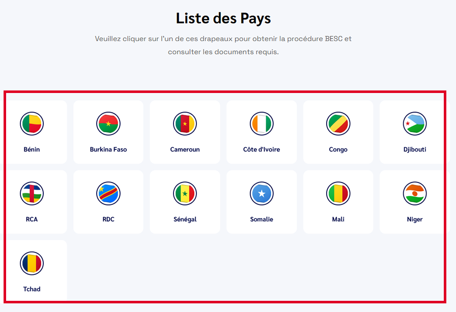 Capture d'écran de la section « Liste des Pays » sur le site EasyCTN,